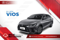 New Vios
